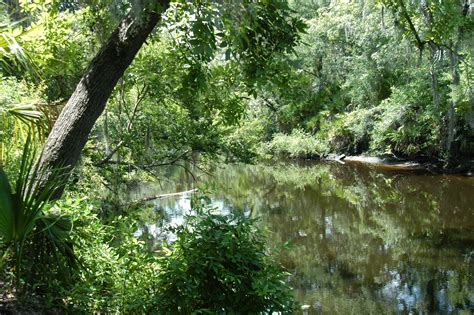 Manatee County Water Resources Atlas: Water Resource: Manatee River