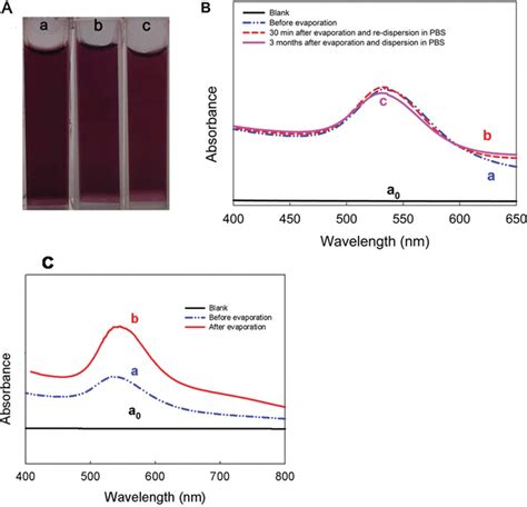 A Photograph Images B UV Vis Spectra Of Synthesised GA GNPs With