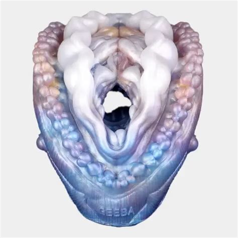 Abalone Male Fantasy Pussy Pocket