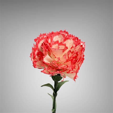 Carnation Flower – Crafts By Mariaa