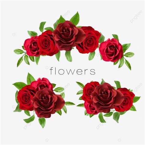 Red Rose Design Png