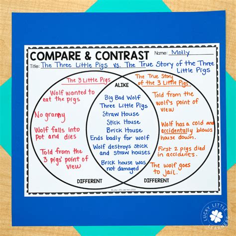 Venn Diagram Anchor Chart