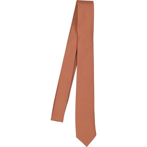 Nude Cocoa Tan Colour Skinny Tie My Bro Tie