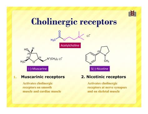 Cholinergic Agonists Medicinal Chemistry Updated PPT