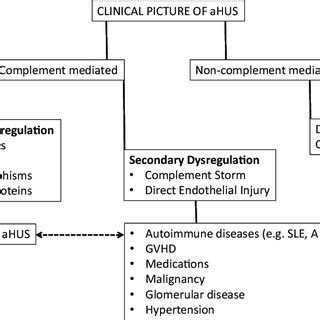 clinical approach   patient   phenotypic picture  ahus