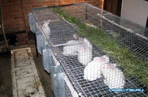 Клетки для кроликов своими руками из сетки: чертежи с размерами