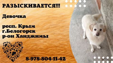 ДОМА ! Девочка , Респ. Крым , г. Белогорск - YouTube