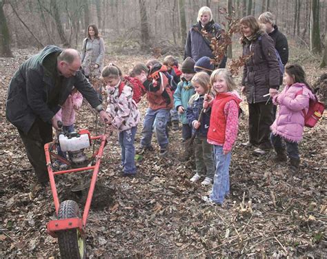 B Ume F R Unseren Wald M Lheim An Der Ruhr