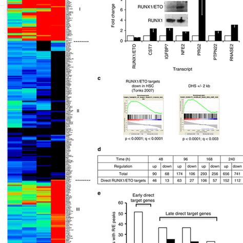 RUNX1/ETO silencing leads to changes in RNA-Polymerase II occupancy and ...