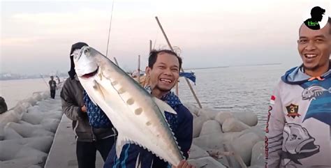 Spot Mancing Jakarta Dam Ijo Tanjung Priok The Atmojo