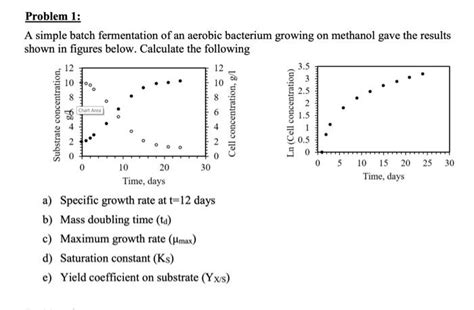 Solved A Simple Batch Fermentation Of An Aerobic Bacterium Chegg