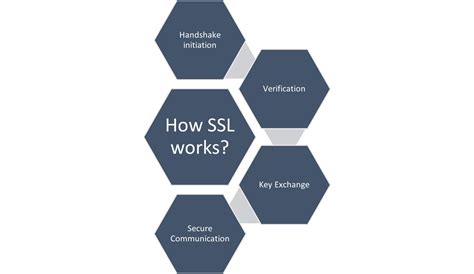 Types Of Ssl Certificates Which One Suits Your Business