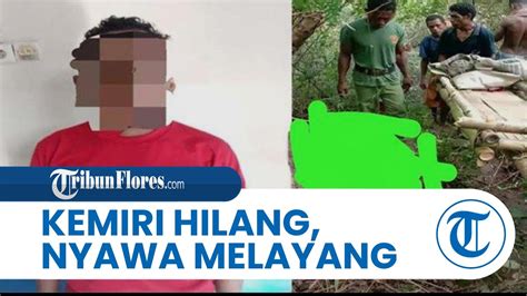 Gegara Kemiri Dan Bakul Hilang Ponakan Di Alor Ntt Tega Bunuh Pamannya