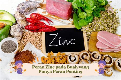 Peran Zinc Pada Buah Yang Punya Peran Penting