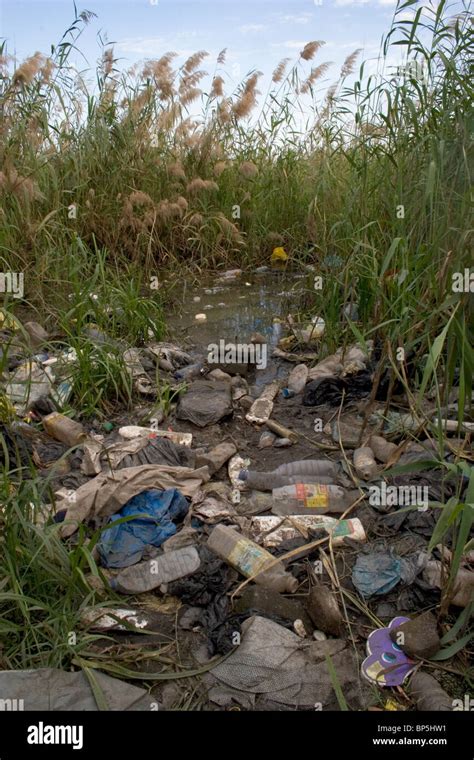 Degradation Wetlands Hi Res Stock Photography And Images Alamy