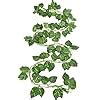 Buy Go Hooked Pack Of Creepers Artificial Garland Money Plant Leaf