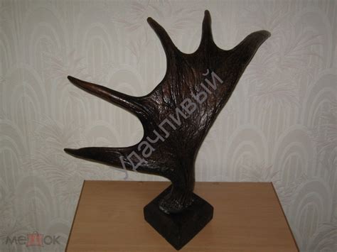 Рог лося с медальоном