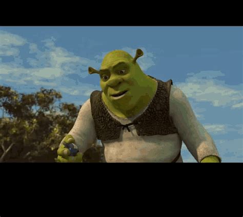 Shrek Meme GIF - Shrek Meme Movie - 发现和分享 GIF