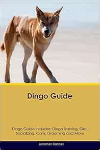 Dingo Guide Dingo Guide Includes: Dingo Training, Diet, Socializing, Care, Grooming, Breeding ...