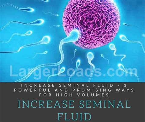 3 Ways To Increase Seminal Fluid Largerloads