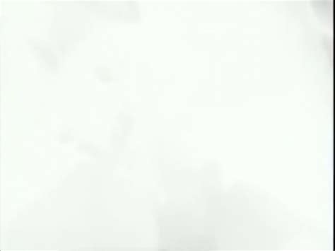 Nikki Anderson Ass Zz