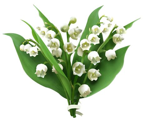 Flowerly Muguet Edition Céline Kniebihler Graphic And Uxui Designer