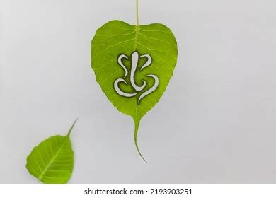 Vinayagar Logo Images Stock Photos D Objects Vectors Shutterstock