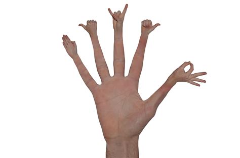 Pin på My Trick Photography/Photomanipulation