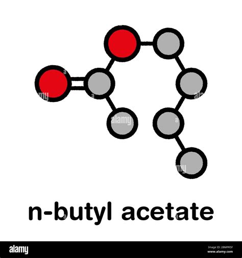 Structure Of Butyl Acetate