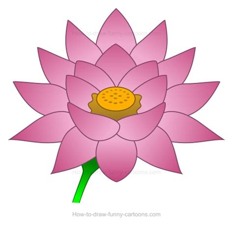 Lotus Flower Sketch Images At Explore Collection