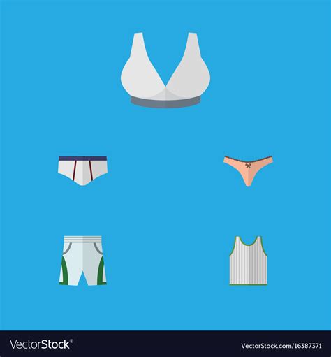 Flat Icon Clothes Set Of Lingerie Underclothes Vector Image