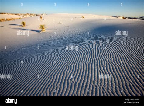 White Sands National Park New Mexico Stock Photo Alamy