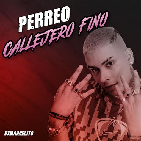 Perreo Callejero Fino Youtube Music