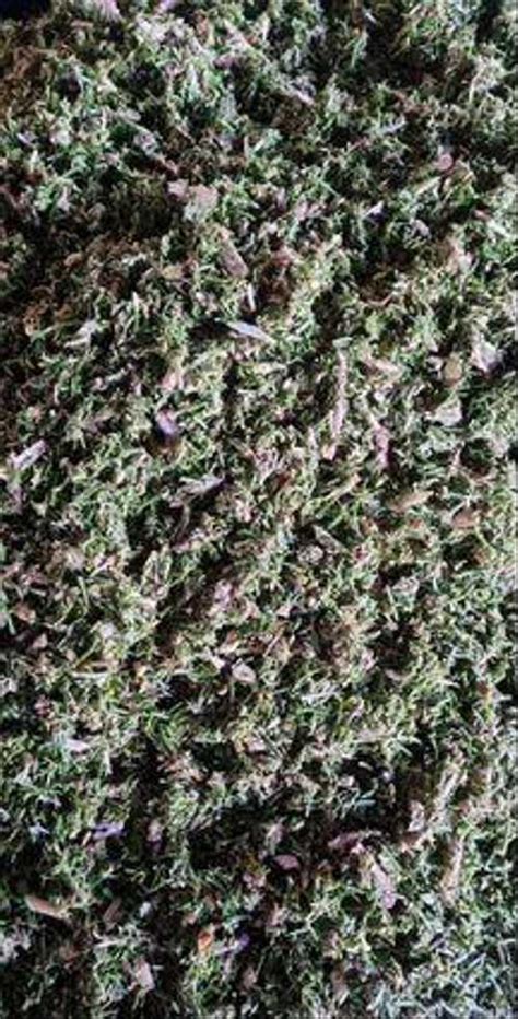 Хвойная мульча, удобрение из пихты | Festima.Ru – частные объявления