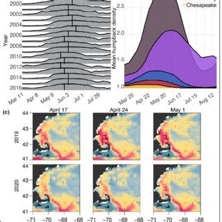 Spatial And Temporal Variability In Weekly Mean Humpback Whale