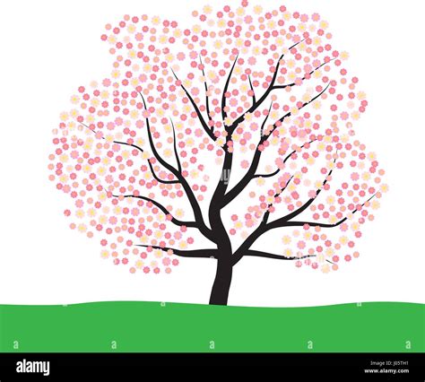 Albero Della Natura In Bianco E Nero Immagini Vettoriali Stock Alamy