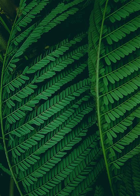 full black background 3