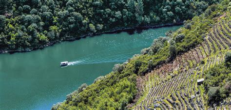 Las Mejores Bodegas Para Visitar En Ribeira Sacra