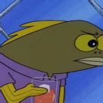 IM PUSSY Meme Generator Imgflip