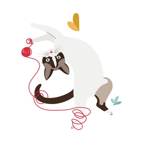 Adopție pisici ️ Felinoteca