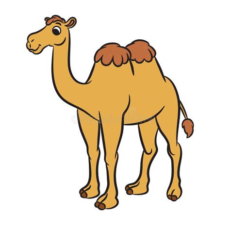 Camelo Desenho Infantil - Desenhos Animados Bonitos Do Camelo Ilustração do Vetor - Ilustração de ...