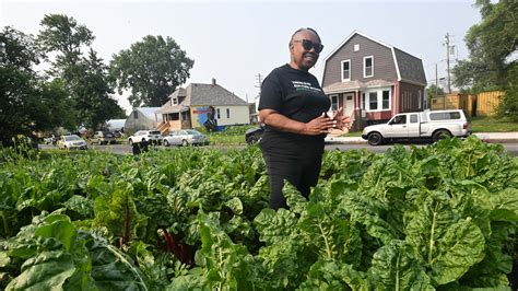 Detroit farms, gardens still fighting for right to flourish