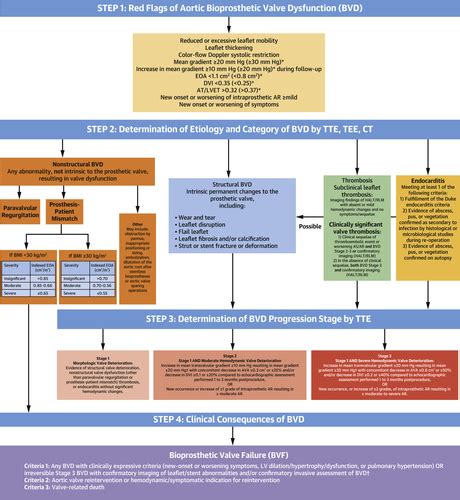 Management Of Mechanical Prosthetic Heart Valve Thrombosis:, 40% OFF