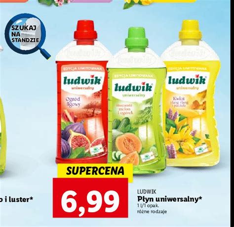 Płyn uniwersalny melon i ogórek Ludwik cena promocje opinie