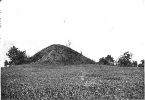 Our Native American HiSTORY: St. Louis Mounds