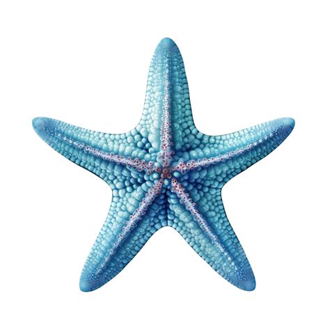 Small Starfish Isolated Illustration Ai Generative Starfish Sea