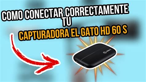 COMO CONECTAR CORRECTAMENTE TU CAPTURADORA EL GATO HD 60 S YouTube