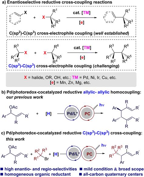 Enantioselective Reductive Allylic Alkylation Enabled By Dual