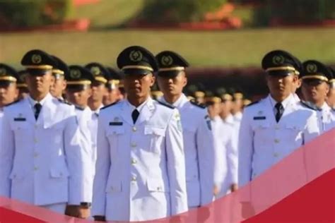 Ada Akademi Penerbangan Indonesia Banyuwangi Ini 22 Sekolah Kedinasan