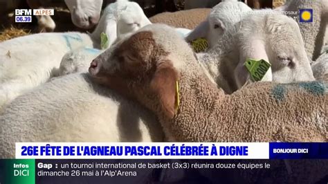 Digne un grand succès pour la fête de l agneau Pascal